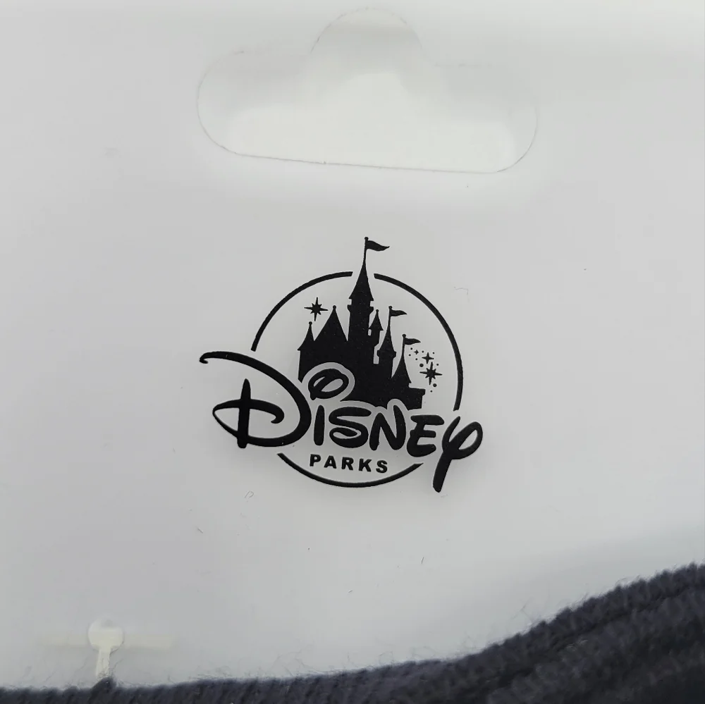 Disney parks best